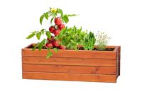 KIT PER COLTIVARE ERBE AROMATICHE TOMARUX
